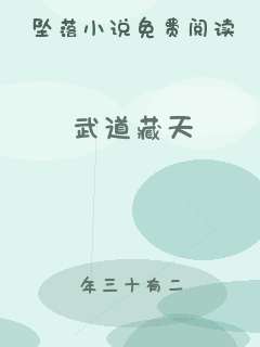 武道藏天
